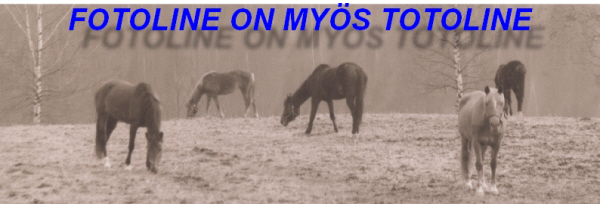 Fotoline on my&ouml;s Totoline. Kuva (c) Fotoline Ky