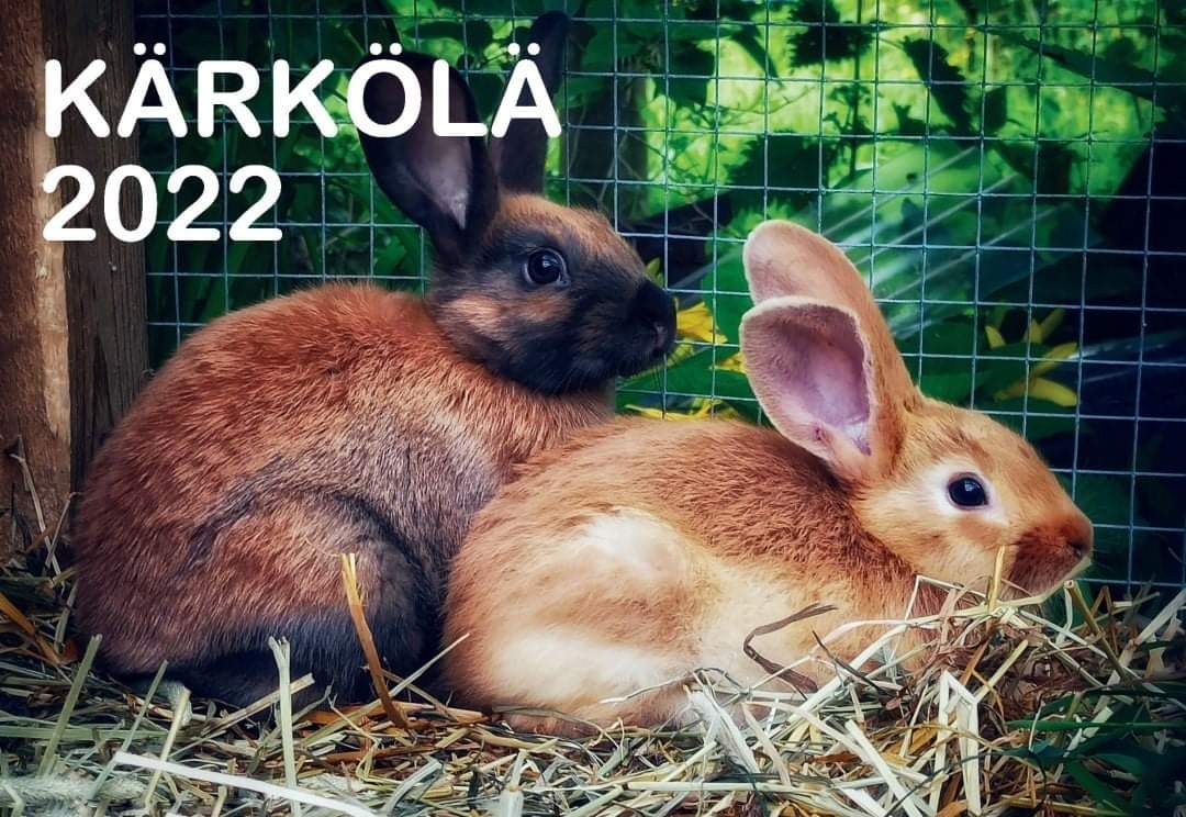 K&auml;rk&ouml;l&auml;_kalanteri 2022