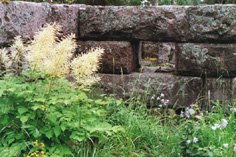Huovilan puisto