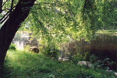 Huovilan puisto